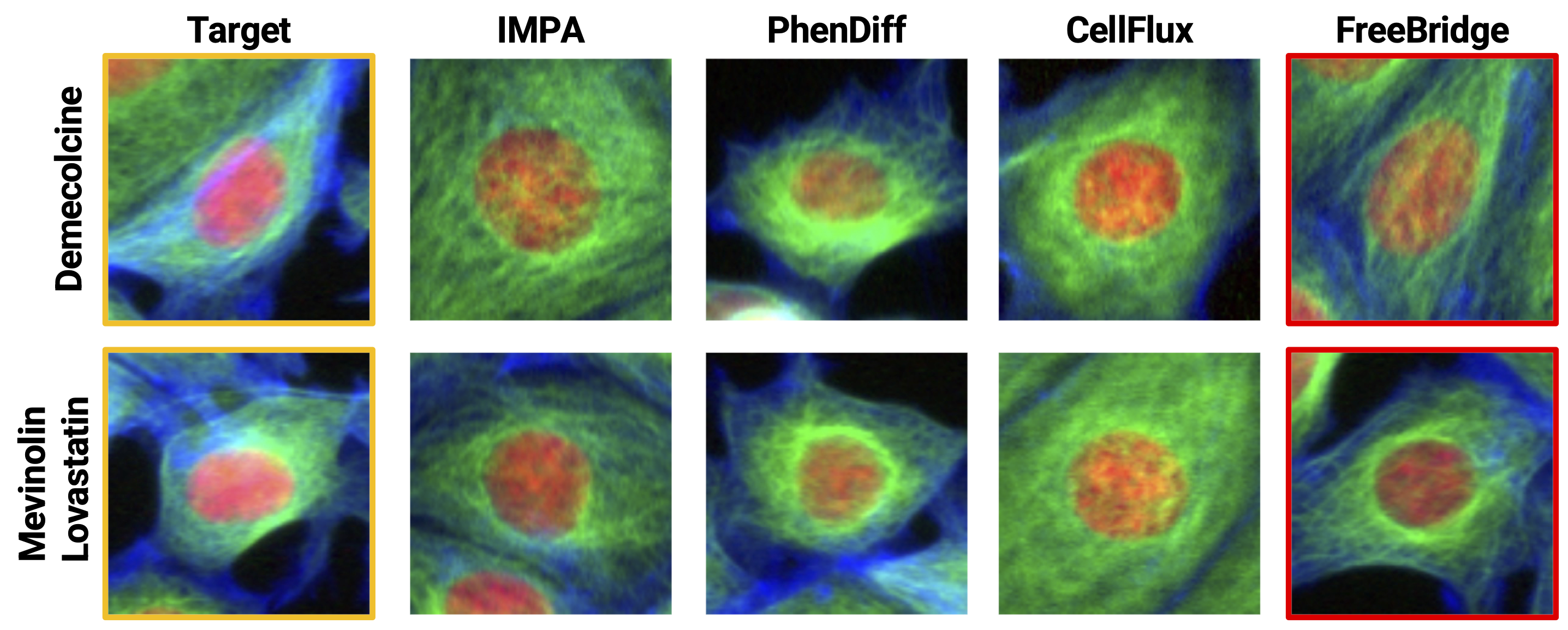 Qualitative comparison of generated single cells