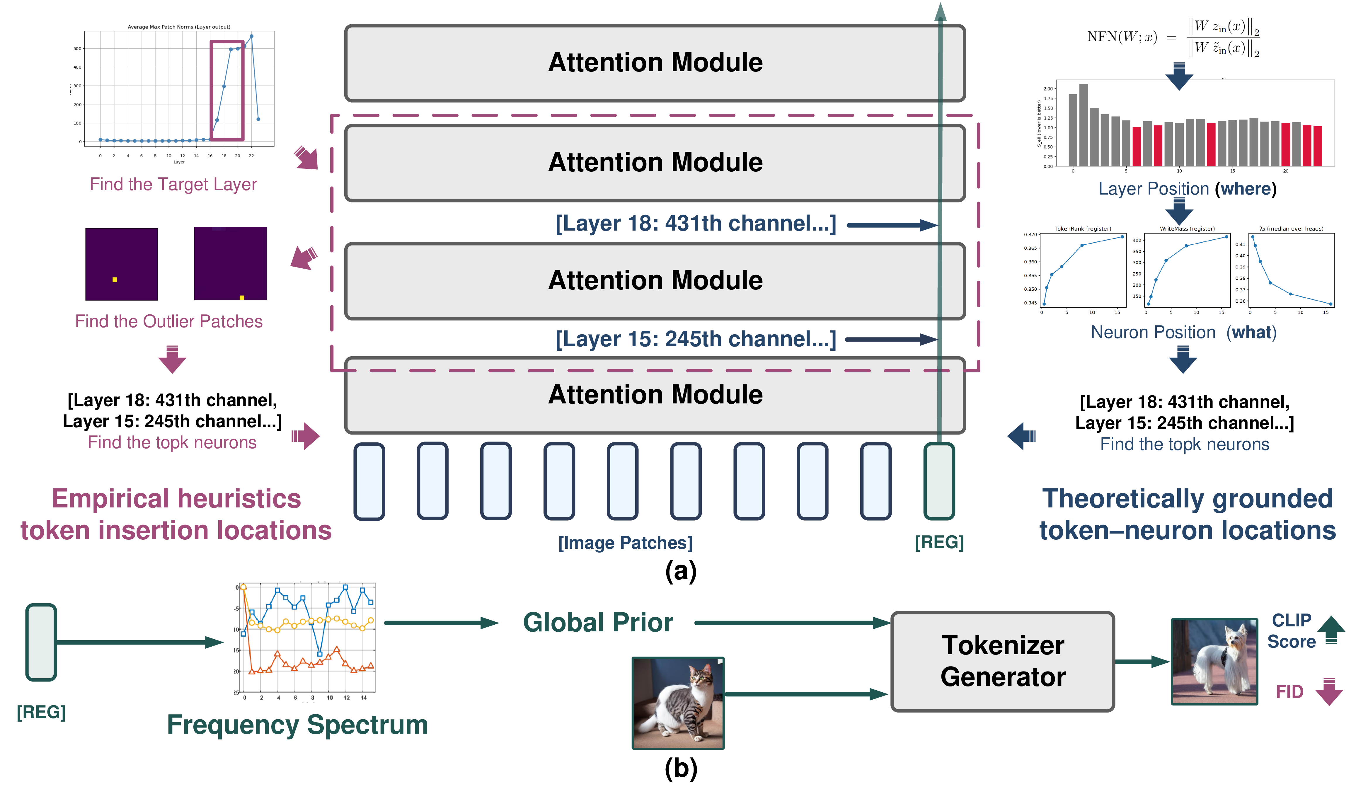 RegToken overview: NFN and TokenRank identify register-related layers and neurons, then a register-derived global prior is passed to a tokenizer generator.