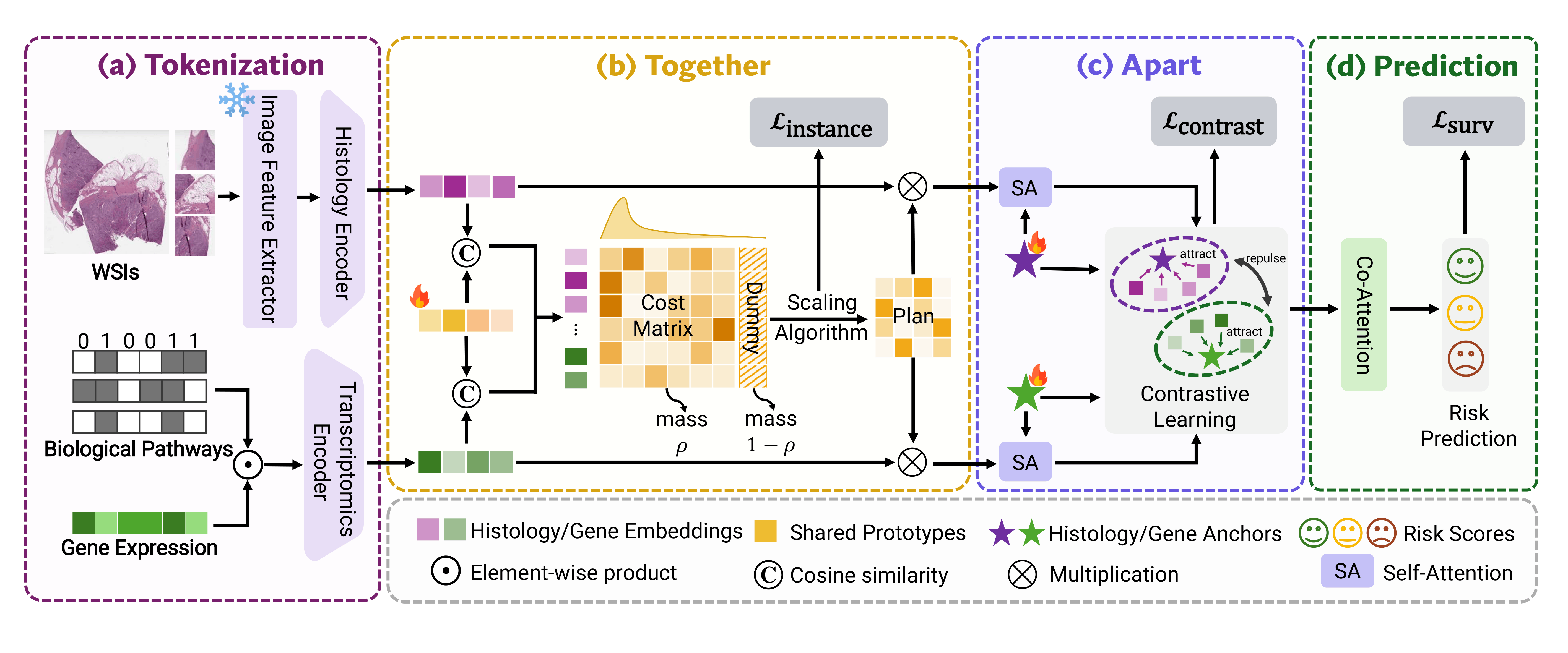 Overview of the Together, Then Apart framework